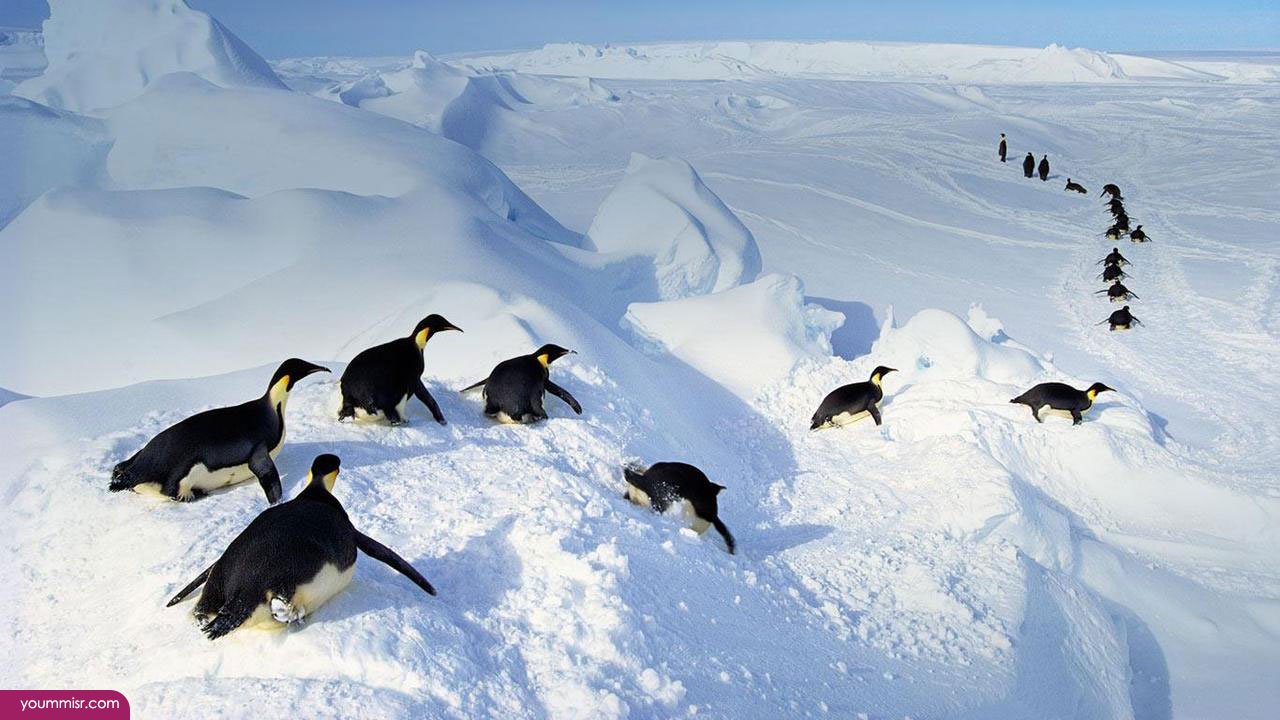 10 حقائق مدهشة لا تعرفها عن القطب الجنوبي مجلة الرجل