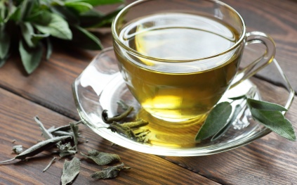 دراسة حديثة: تناول الشاي الأخضر يُحسّن أداء الدماغ ويُعزّز اليقظة