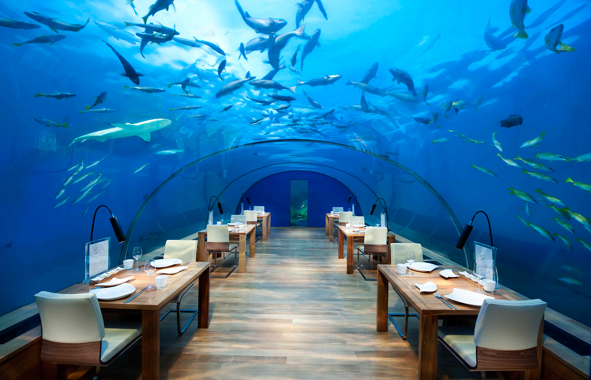 مطعم ايثا المالديف تناول طعامك تحت الماء مجلة الرجل