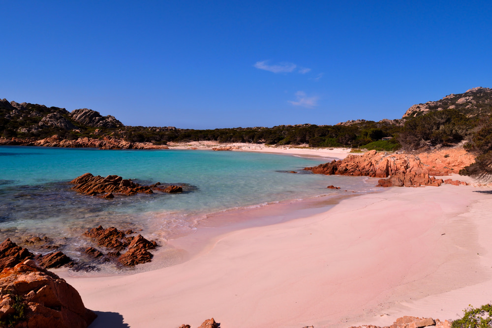 شاطئ الرمال الوردي 