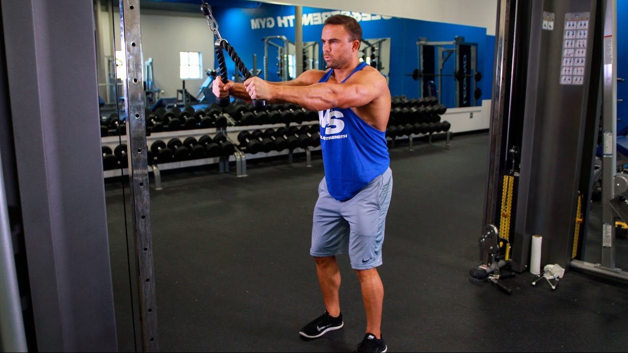 "تمارين تراي شخص يؤدي تمرين  Triceps Extension