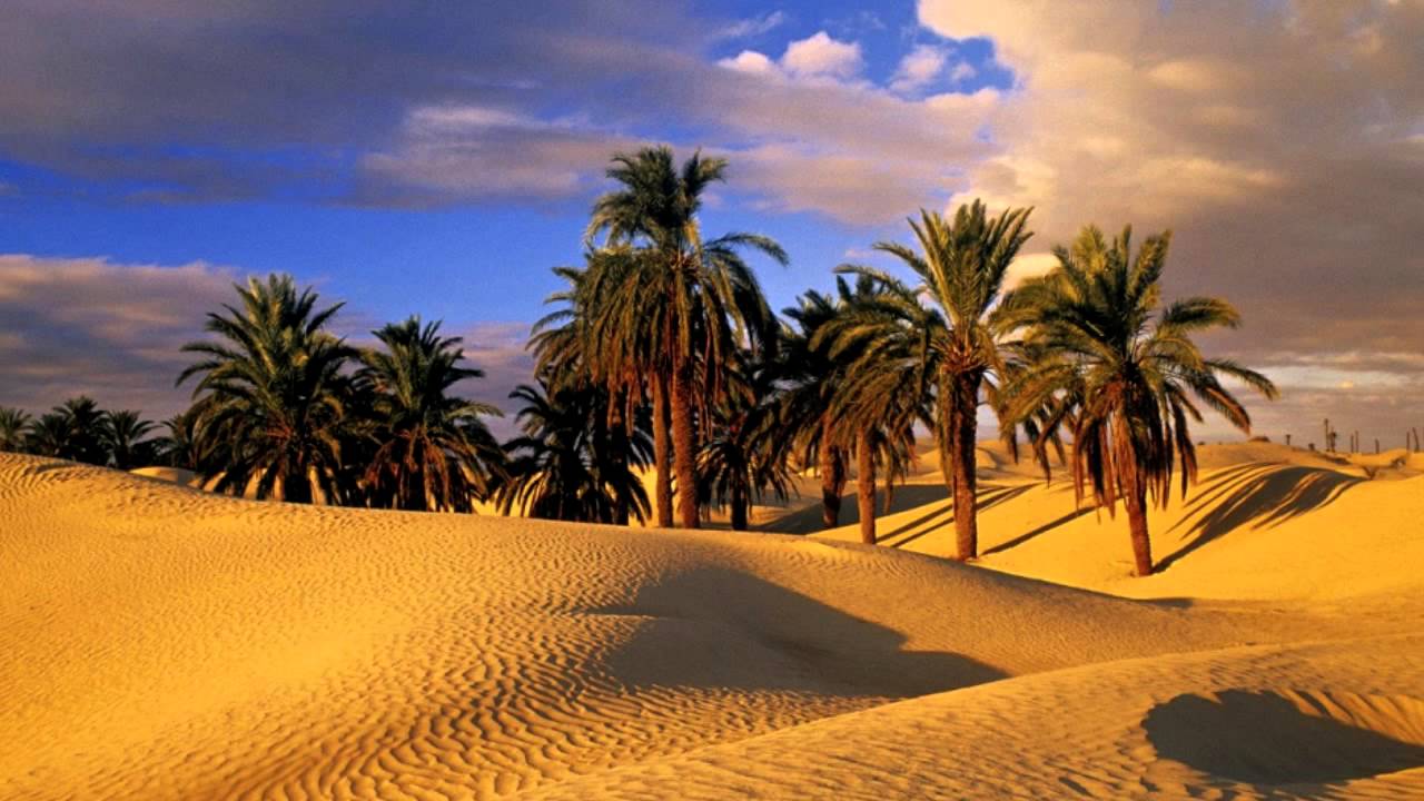 واحدة دوز من أهم أماكن طبيعية في تونس ومقصد لـ السياحة في تونس 2022