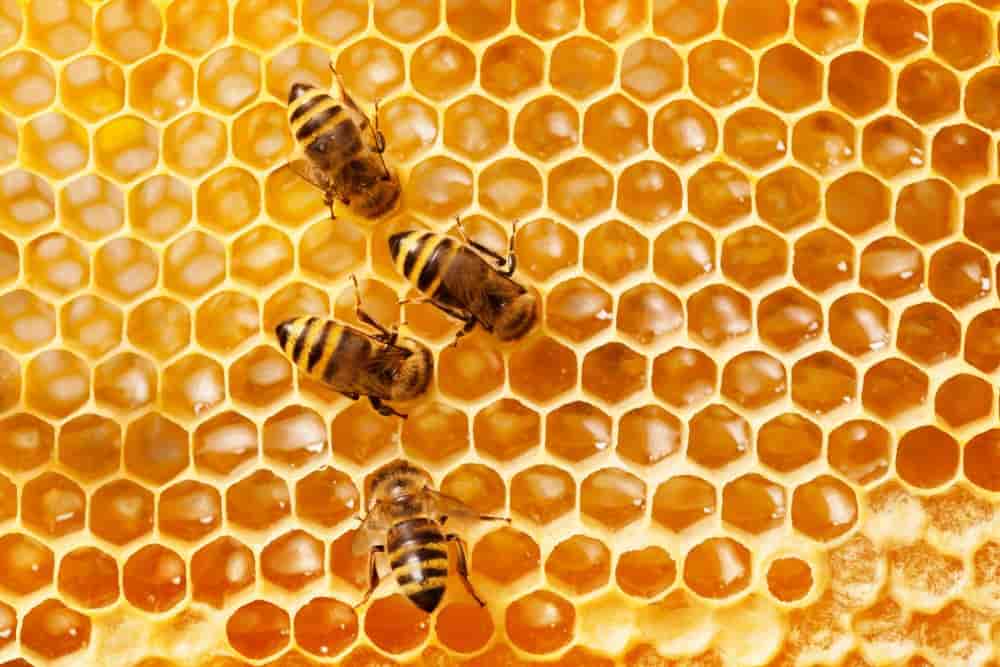 فوائد شمع العسل للبشرة وكيفية استخدامه