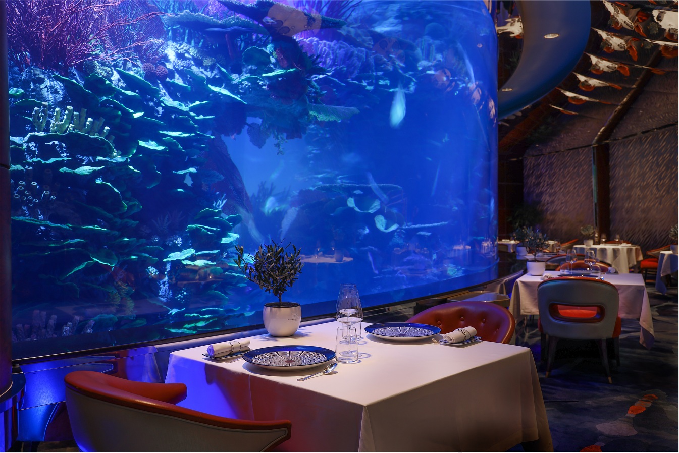 مطعم L’Olivo الفاخر يستمد طبيعة تحت البحار ليضيف سحرا مختلفا