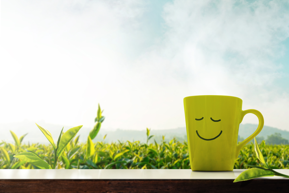 كوب أخضر أمام نباتات تعبيرية عن فوائد شاي الماتشا على الريق